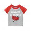 2020夏服新作韓国子供服　男の子　スイカ柄　半袖ｔシャツ